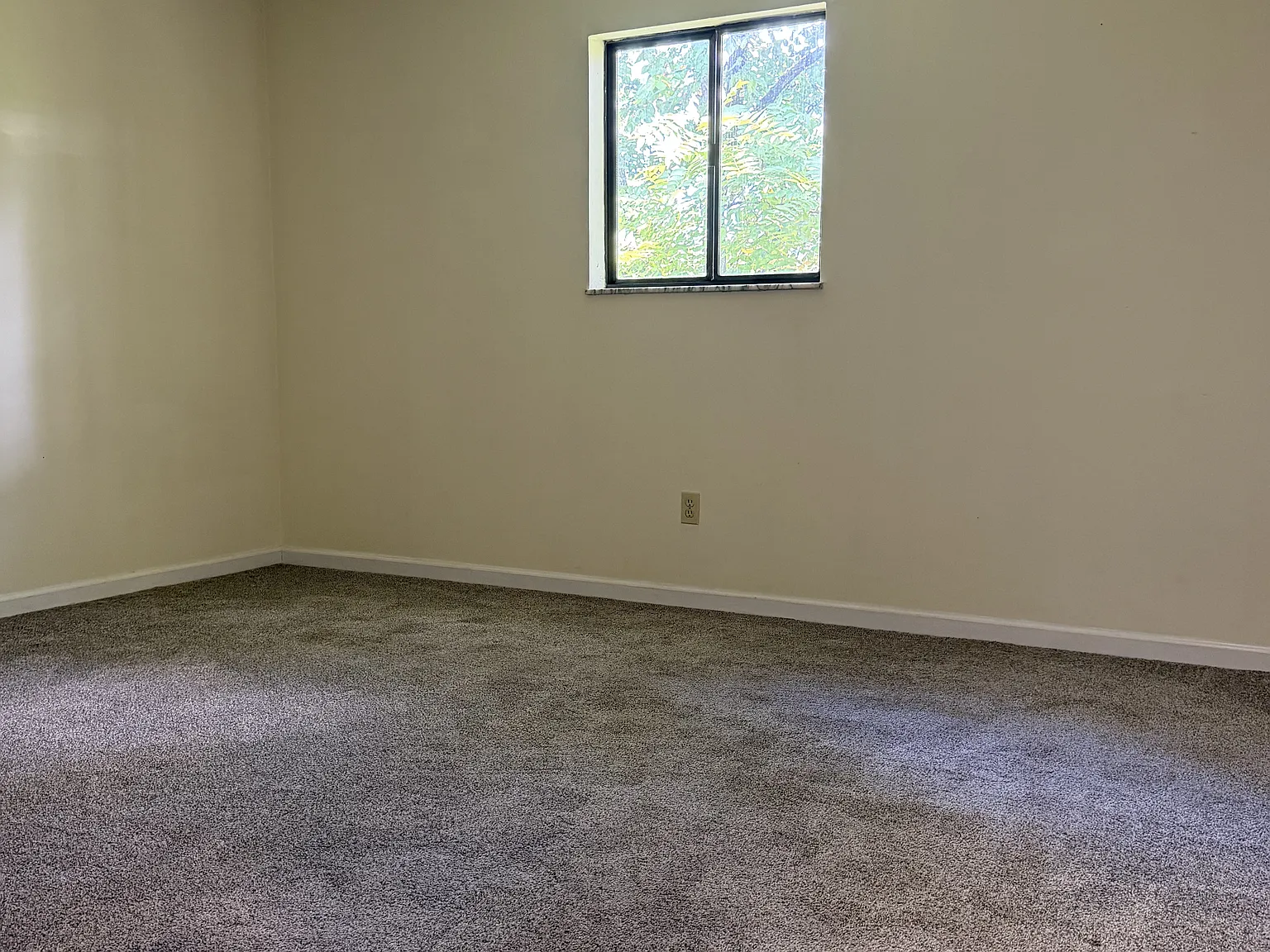 1 bed, 650 sqft, $795 — Photo 4