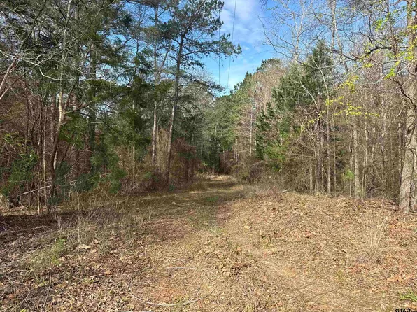 15485 County Road 46, Tyler, TX 75704