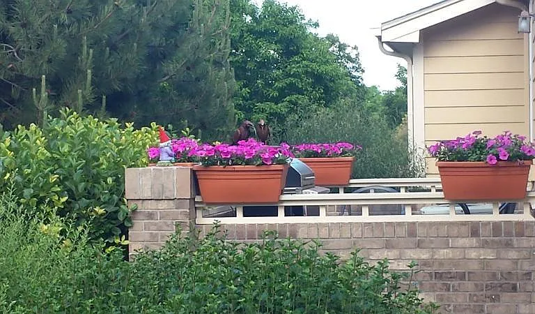 Private patio