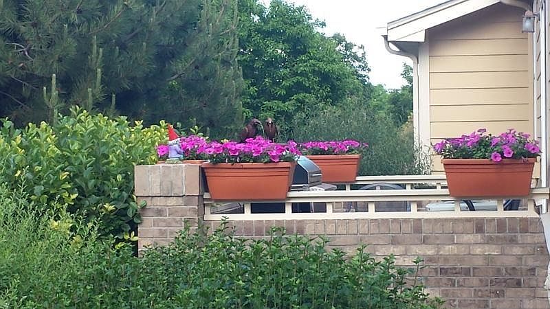 Private patio
