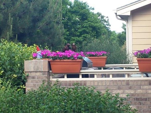 5220 Harvest Moon Way