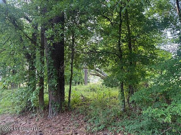 5th image of LOT 1 Slocum Rd