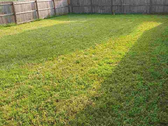 Your fenced in backyard!