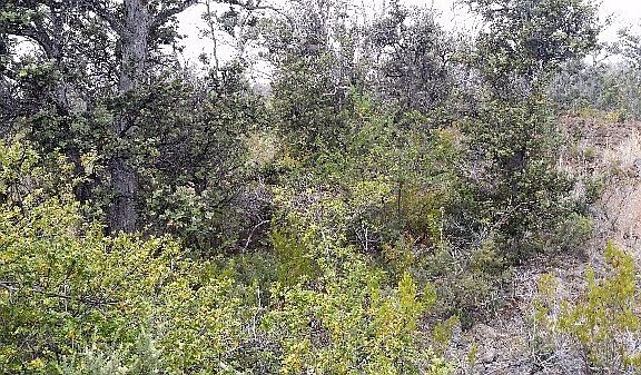 2nd image of Trade Wind Blvd Lot 28