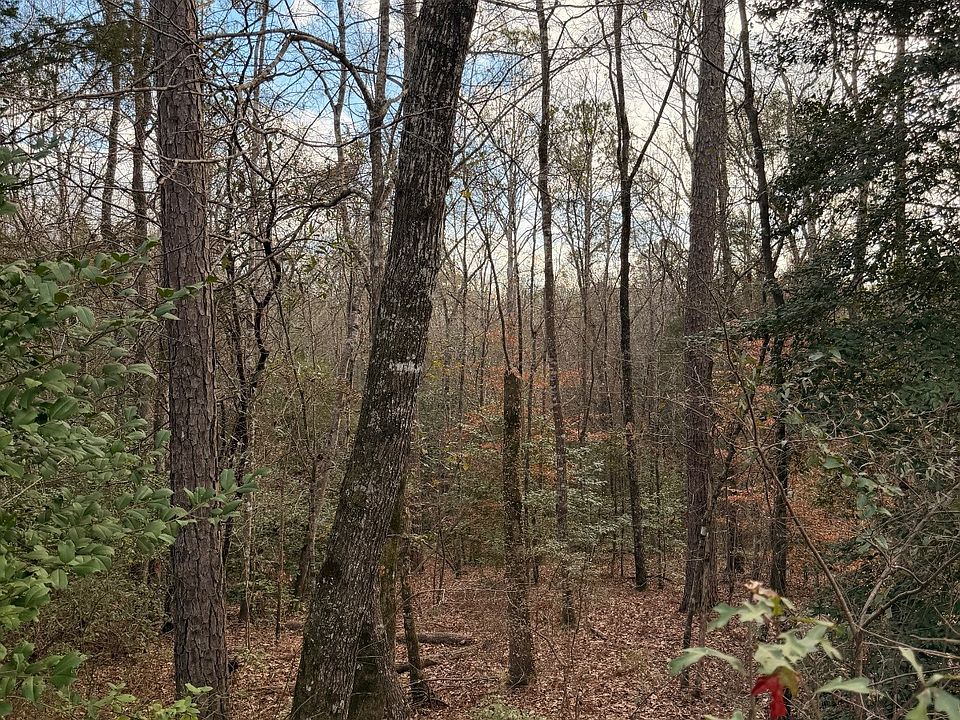 2nd image of 0 Deer Run Rd