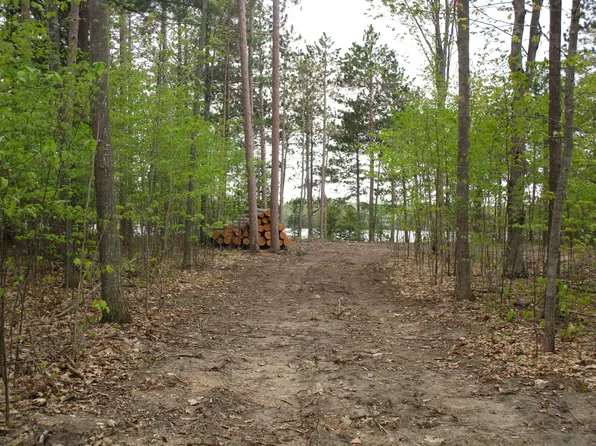 4784 Michakewa Trl, Cheboygan, MI 49721