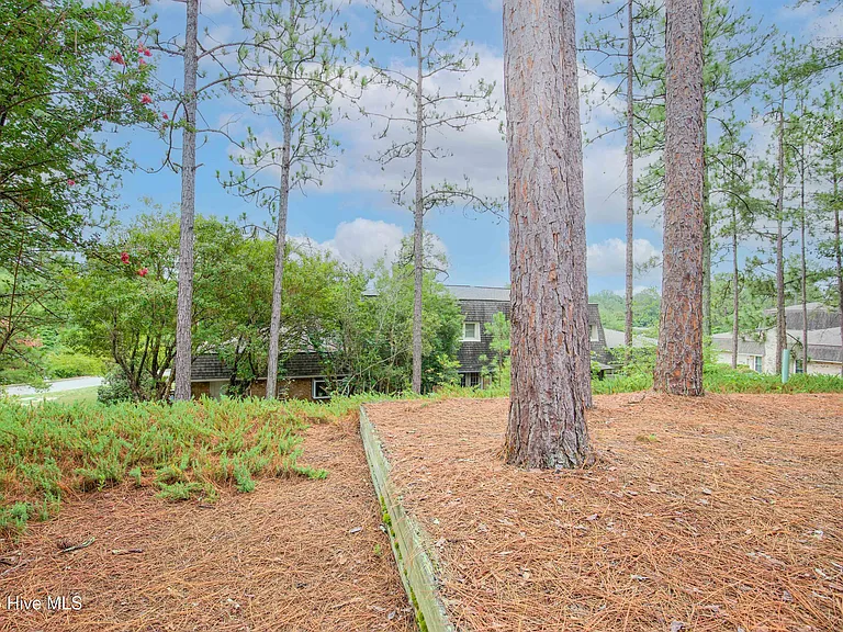 131 Racquet Ln — Photo 77