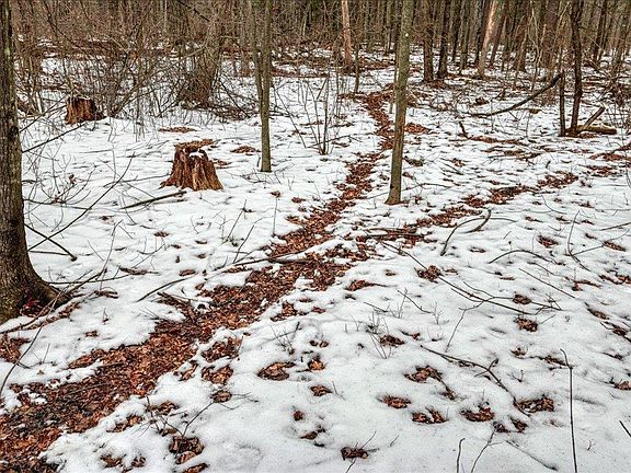 4th image of 73+/- Acres Germantown Road