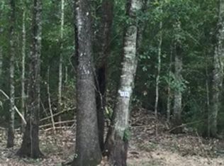 LOT 133 Gunboat Landing Rd, Maurepas, LA 70449