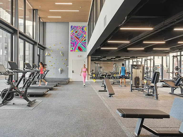Bi-Level Gym