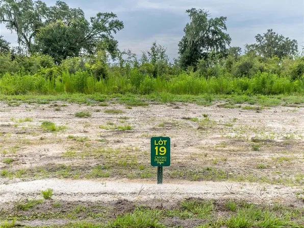 1459 Oxford Preserve, Oxford, FL 34484