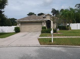 2633 Buckhorn Preserve Blvd, Valrico, FL 33596