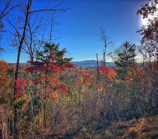 2nd image of 905 Landers Loop Rd