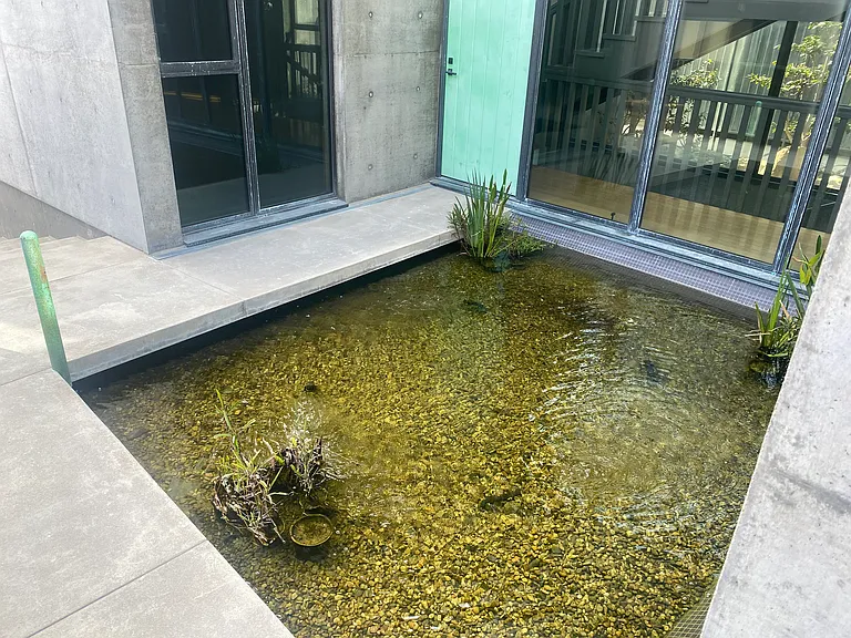 Water feature