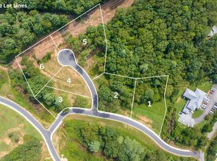 6 Davidson St, Franklin, NC 28734