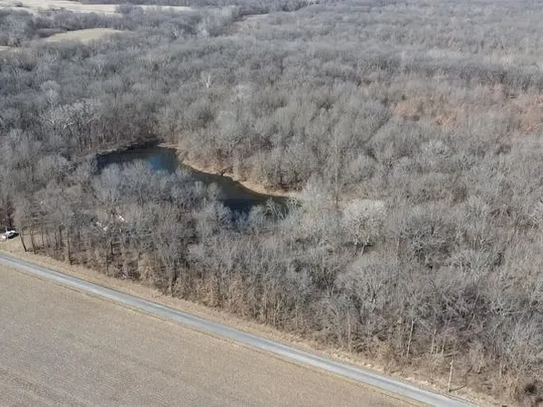 1185 Terrapin Ridge Rd, Greenville, IL 62246