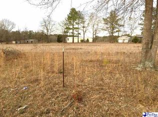 1150 Black Creek Church Rd, Mount Croghan, SC 29727