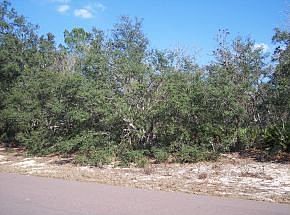 1st image of 3421 W Promontory Dr