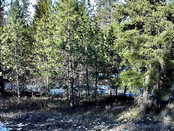 4th image of 2517 Mossy Rock Ct Lot 5