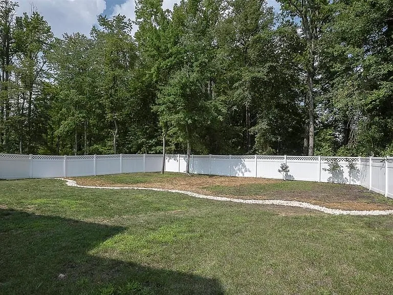 Back yard