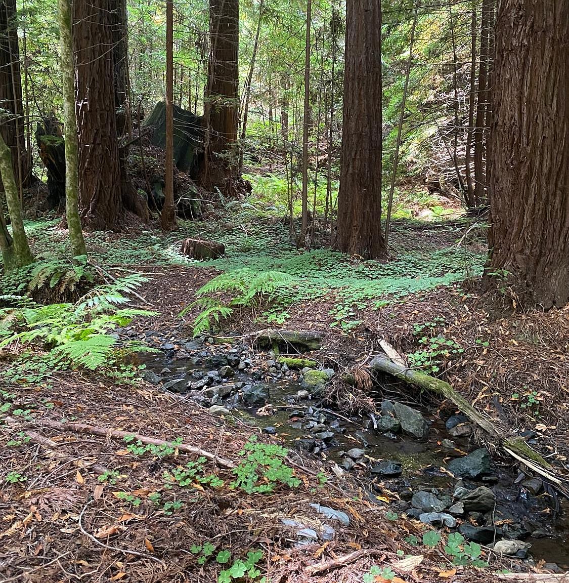 1545 Cazadero Hwy, Cazadero, CA 95421 MLS 323925331 Zillow