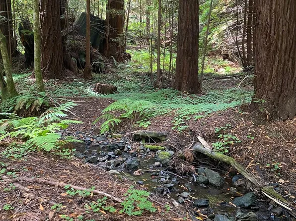 1545 Cazadero Highway, Cazadero, CA 95421