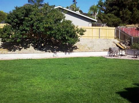 Back Yard right
