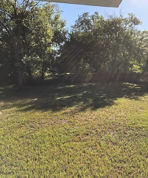 3303 Texas St — Photo 4