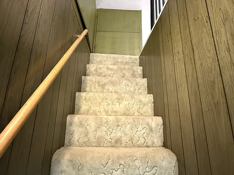 1115 Mary Ellen St — Photo 11
