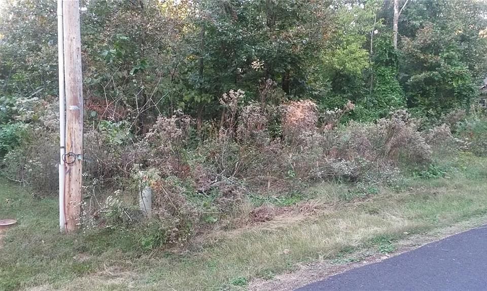 2nd image of 28 Elvanfoot Ln