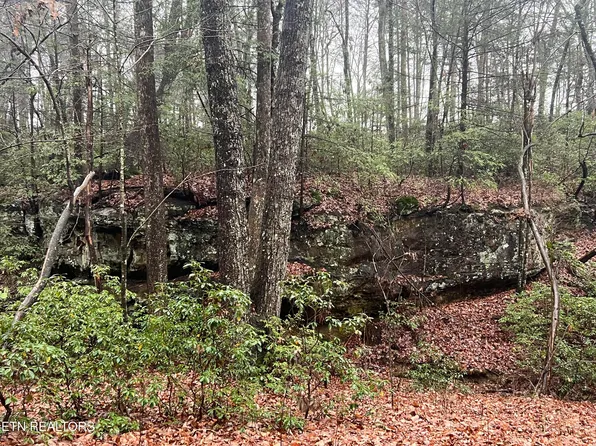 23 Overlook Pl #5, Monterey, TN 38574