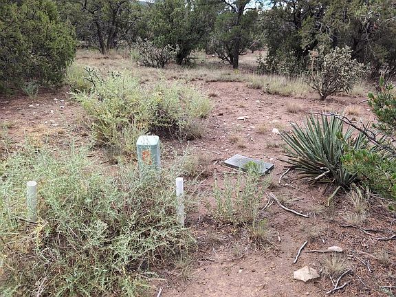 4th image of 11 Pinon Grande