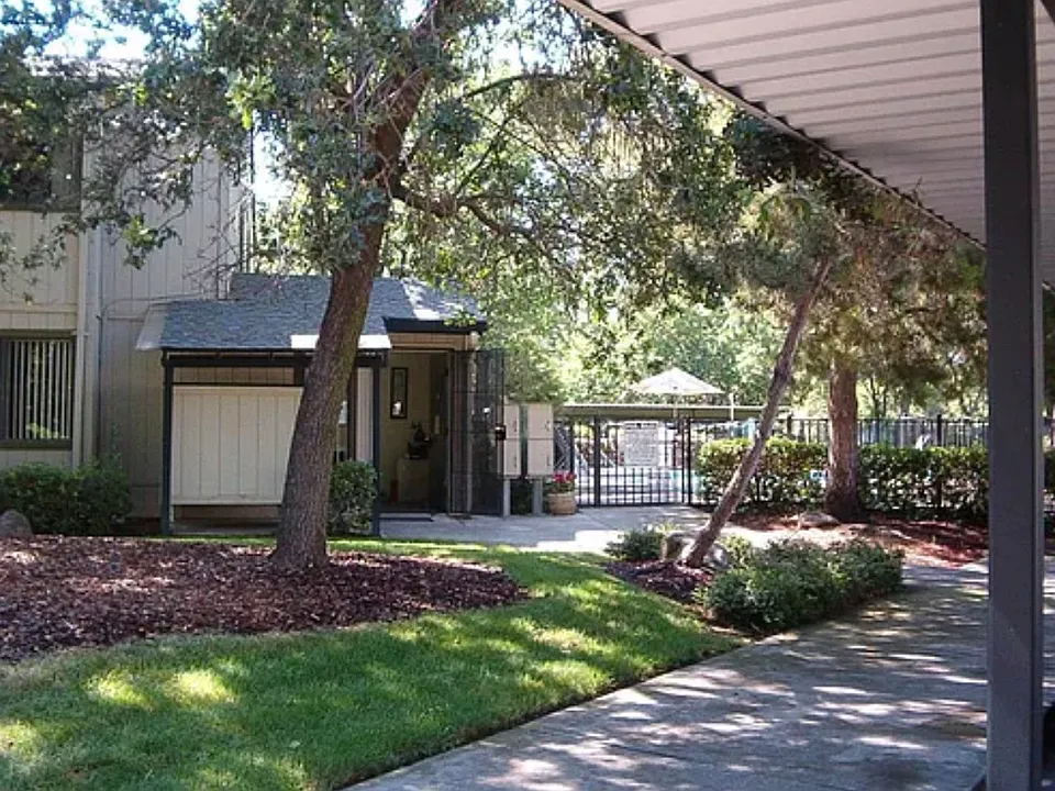 College Oak Dr