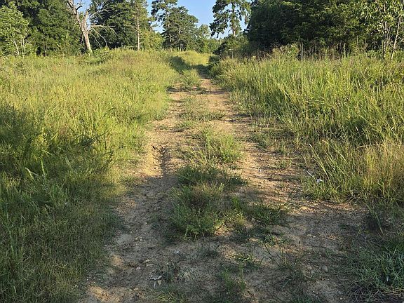 4th image of 4955 Dailey Store Rd Lot 1