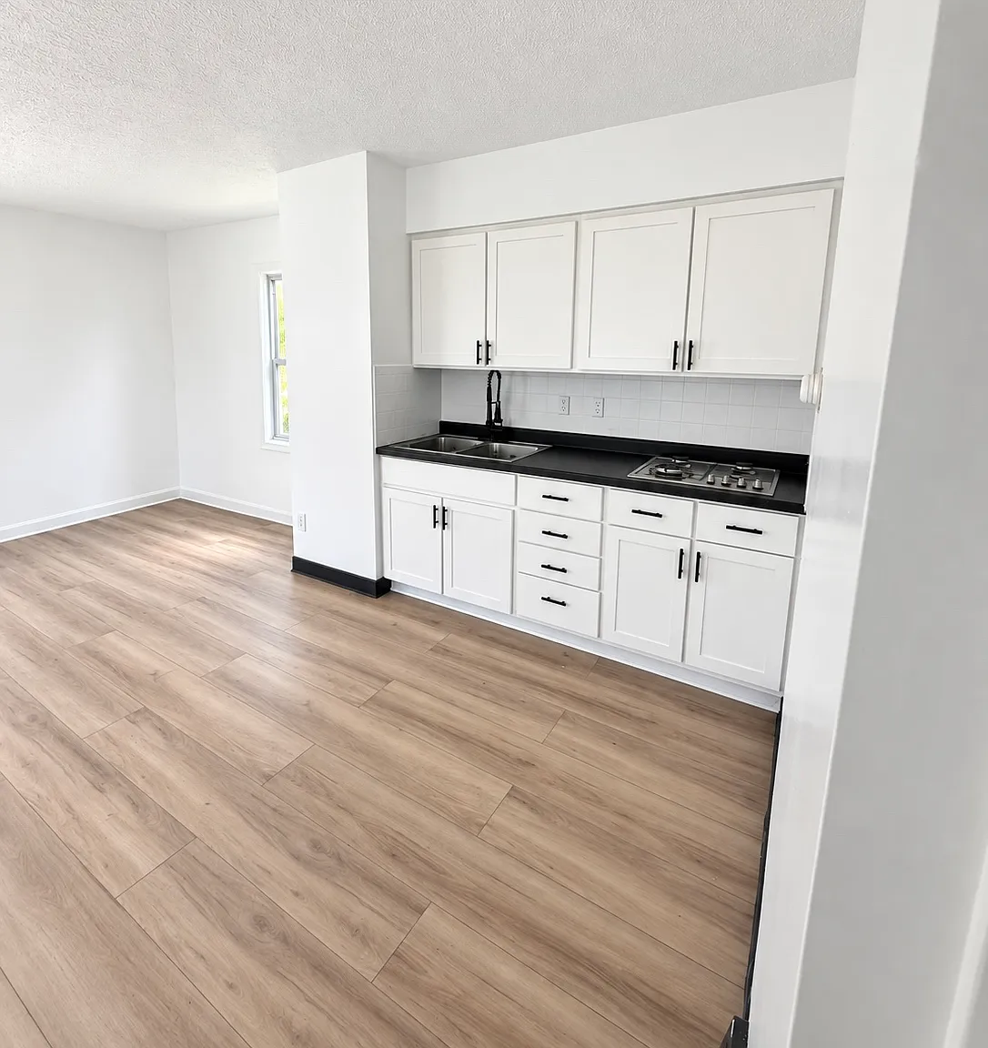 1 bed, 450 sqft, $750 — Photo 3