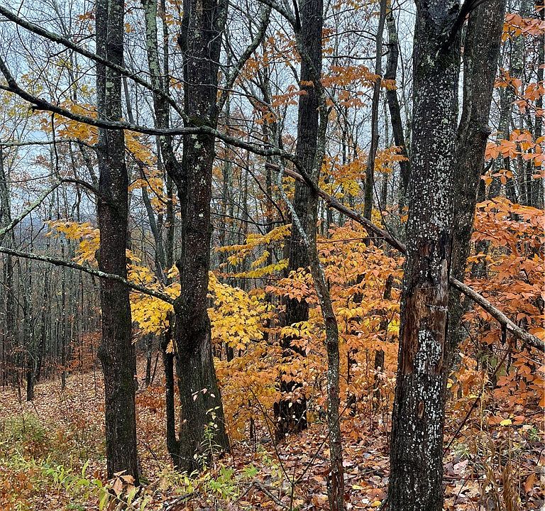 1st image of 16 Silver Mine Rd