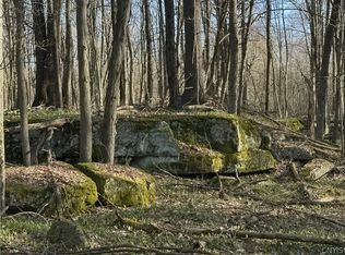 0 Lead Mine Rd, Redwood, NY 13679