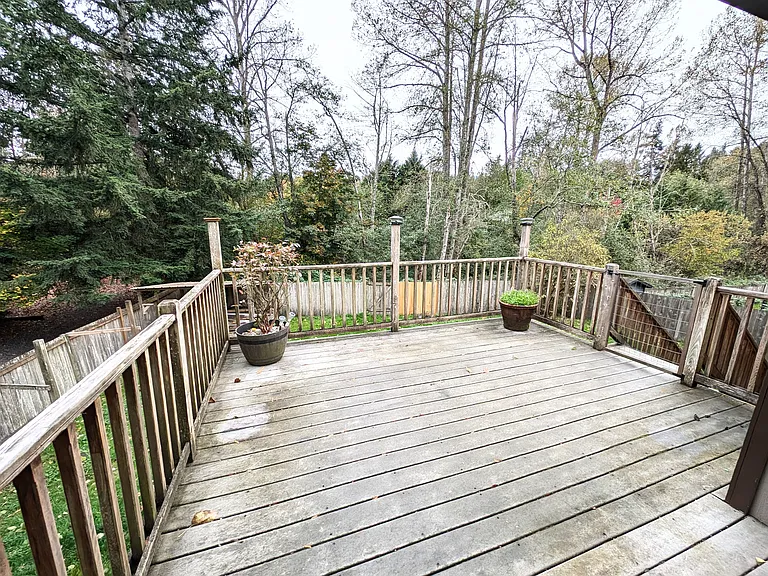 Deck (1)