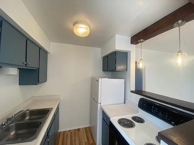 1 bed, 515 sqft, $850 — Photo 4