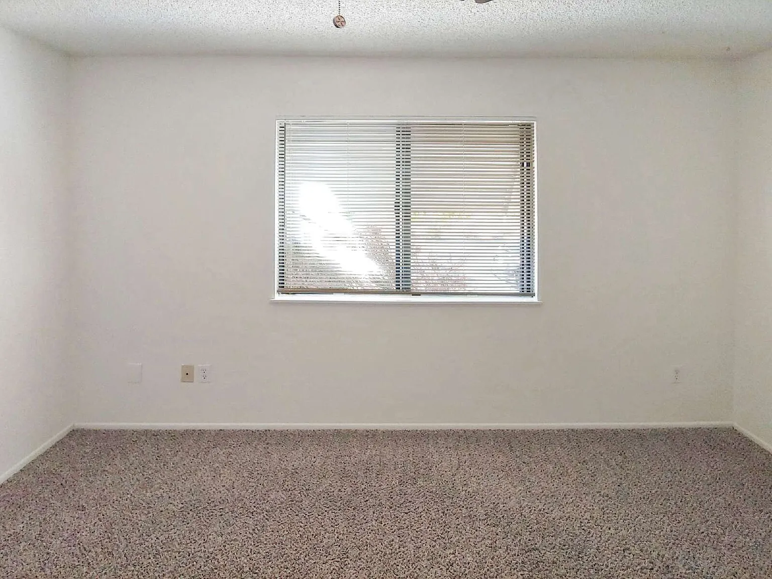 2 bed, 1.0 bath, 1000 sqft, $1,125 — Photo 1