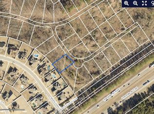 10283 Wading Heron Dr #199, Arlington, TN 38002