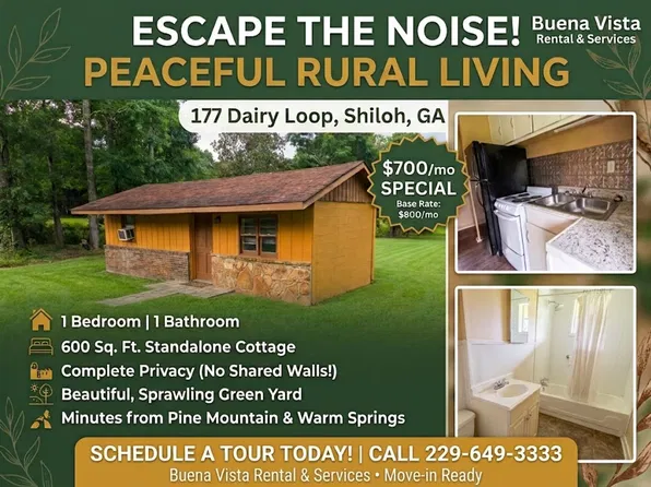 177 Dairy Loop, Shiloh, GA 31826