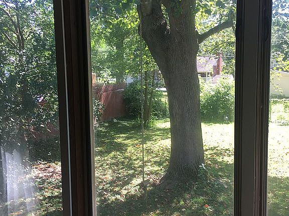 Backyard view from family rm
