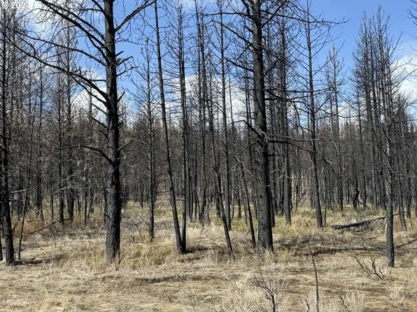 Nf 4464 Rd #Tl-800, Beatty, OR 97621