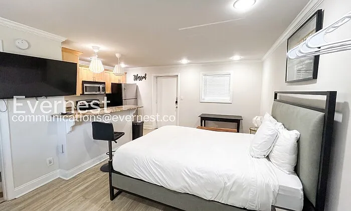 Studio, 1.0 bath, 510 sqft, $1,100 — Photo 3