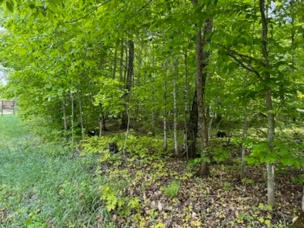 LOT 1 Plus Co Road & Co Road 479 #98, Mc Millan, MI 49853