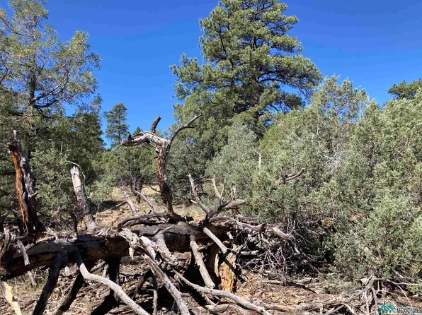 Parkview Hls Lot 29, Los Ojos, NM 87551