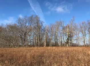 Taylor Rd, Meredith, NY 13753