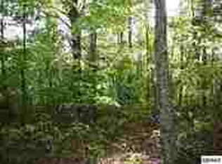 Timber Ridge Rd, Gatlinburg, TN 37738