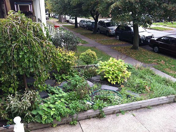 2nd image of 361 W Utica St #3